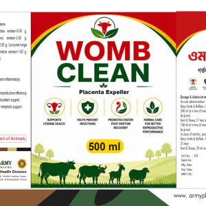 WOMB CLEAN 500 ML