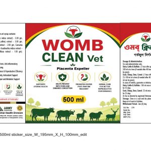 WOMB CLEAN 500 ML
