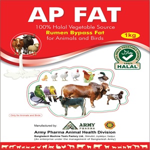 AP FAT